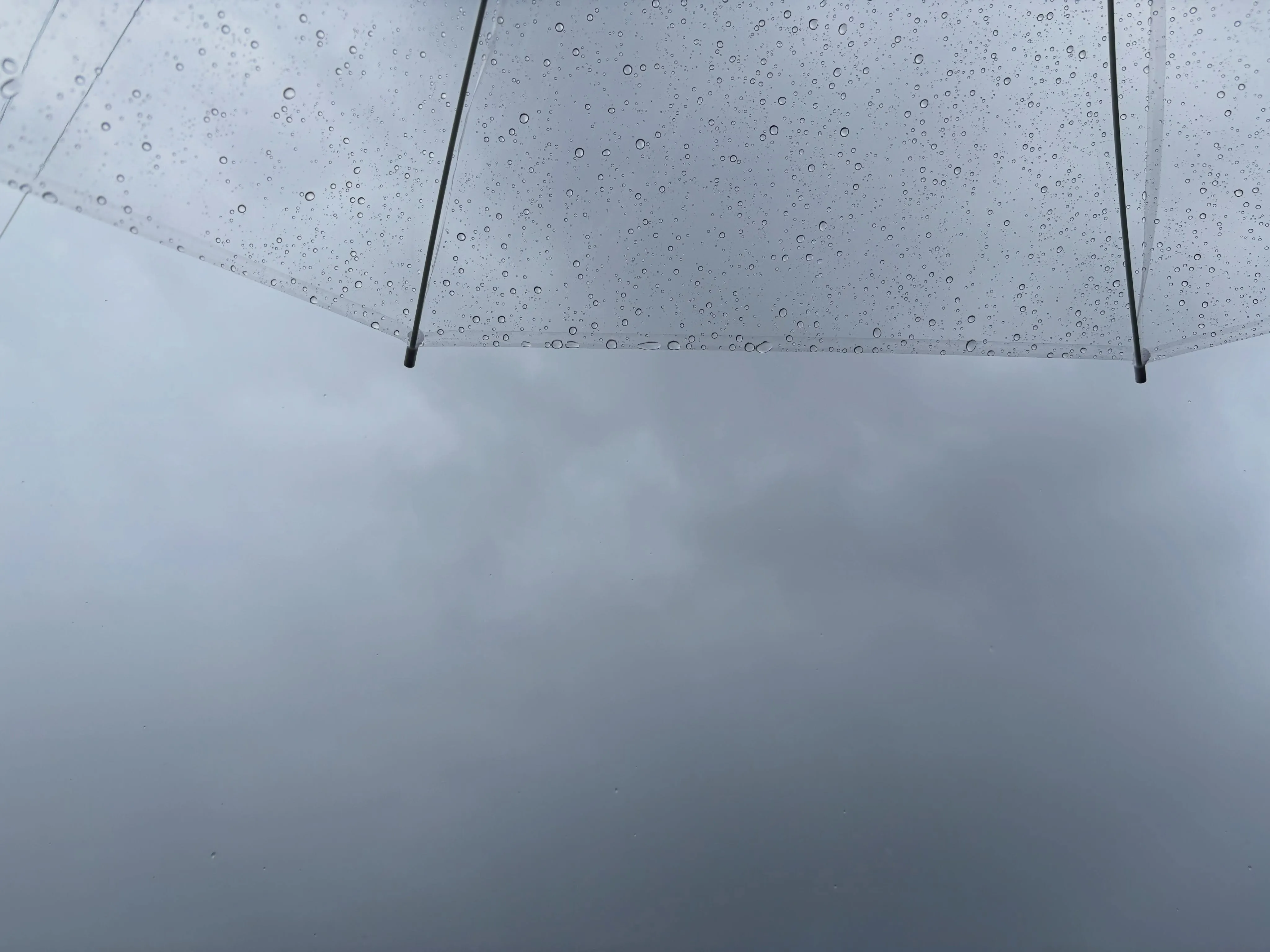 天気予報見ると台風が色んなところで発生してますね☔